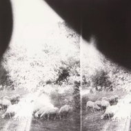 Godspeed You! Black Emperor: 'Asunder, Sweet and Other Distress' - LP Record