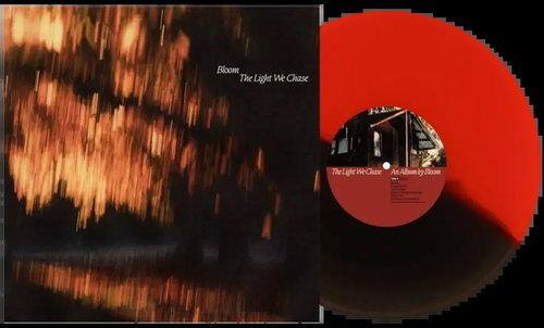 Bloom: Světlo, které pronásledujeme Main image Bloom: Světlo, které pronásledujeme - LP Record - Main image