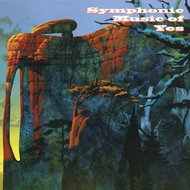 The London Philharmonic Orchestra: Symphonic Music Of Yes CLR - LP Record