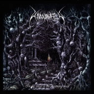 Unanimated: In the Forest of the Dreaming Dead LTD - LP Record
