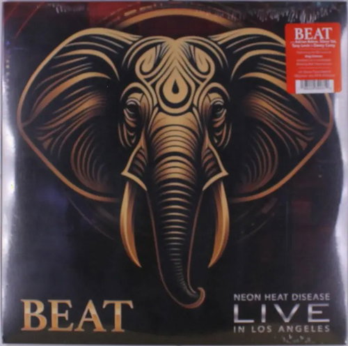BEAT (King Crimson): Live Transparent - LP Record - Main image
