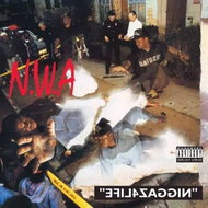 N.W.A: Efil4zaggin - LP Record