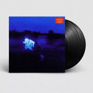 Daniel Caesar: Never Enough - LP Record