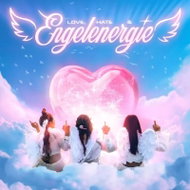 The toten Crackhuren im Kofferraum: Love, Hate & Engelenergie Clr Ltd - LP Record