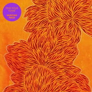 Nubiyan Twist: Find Your Flame CLR - LP Record
