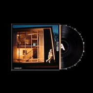 Idles: Crawler - LP Record