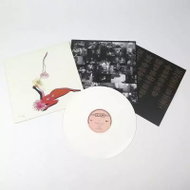 Future Islands: The Far Field Ltd Clr - LP Record