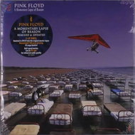 Pink Floyd: A Momentary Lapse Of Reason (Remixed & Updated) - LP Record
