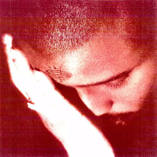 Nourished by time: The passionate ones - LP Record - Main image