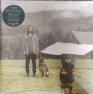 Noah Kahan: Stick Season clr ltd - LP Record