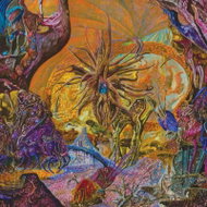 Slimelord: Chytridiomycosis Relinquished Clr Ltd - LP Record