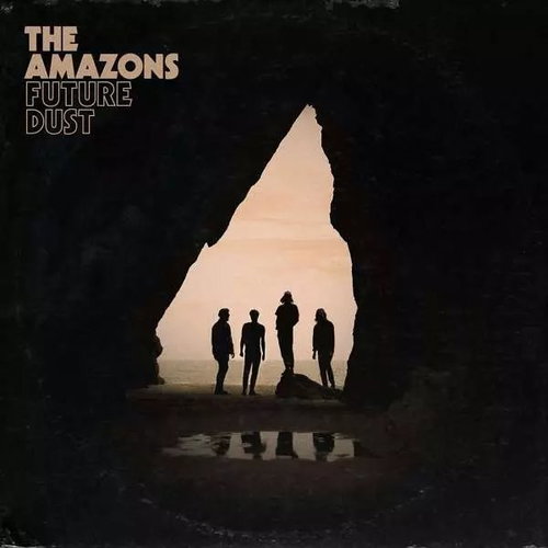 The Amazons: Future Dust DLX - LP Record - Main image