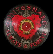 Whitesnake: Always & Forever Ltd Pic - LP Record