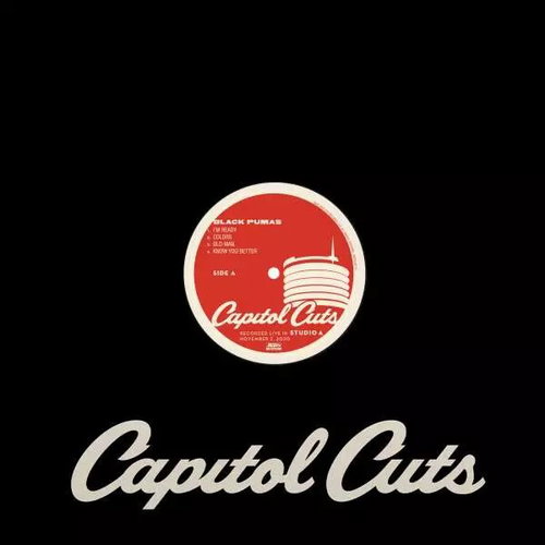 Black Pumas: Capitol Cuts - LP Record - Main image