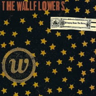 The Wallflowers: Bringing Down the Horse - LP Record