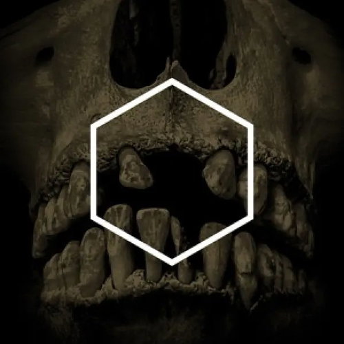 Lustmord: The Others [Lustmord Deconstructed] LTD - LP Record - Main image