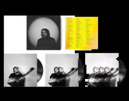 Jeff Tweedy: Twilight Override - LP Record