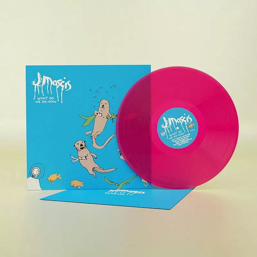 J Mascis: What Do We Do Now - LP Record - Main image