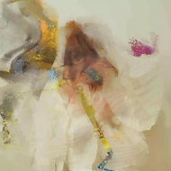 Flock of Dimes: Head Of Roses Ltd Clr - LP Record