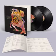 Julia Holter: Something In The Room She Moves Clr Ltd - LP Record