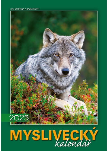 Graspo Wall calendar Hunting 2025, 34 × 48, 5 cm - Wall Calendar - Main image