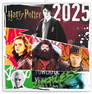 Notique Grid calendar Harry Potter 2025, 30 × 30 cm - Wall Calendar