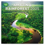 Notique Grid calendar Rainforest 2025, 30 × 30 cm - Wall Calendar