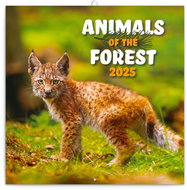 Notique Grid calendar Animals of the forest 2025, 30 × 30 cm - Wall Calendar