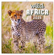 Notique Grid calendar Wild Africa 2025, 30 × 30 cm - Wall Calendar