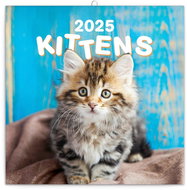 Notique Grid calendar Kittens 2025, 30 × 30 cm - Wall Calendar