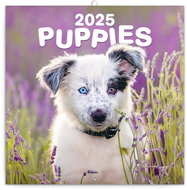 Notique Grid calendar Puppies 2025, 30 × 30 cm - Wall Calendar