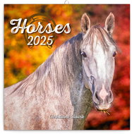 Notique Grid calendar Horses - Christiane Slawik 2025, 30 × 30 cm - Wall Calendar