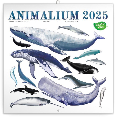 Notique Grid calendar Animalium 2025, 30 × 30 cm - Wall Calendar - Main image