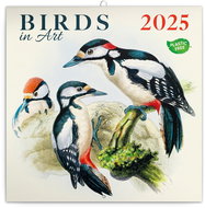 Notique Grid calendar Birds 2025, 30 × 30 cm - Wall Calendar