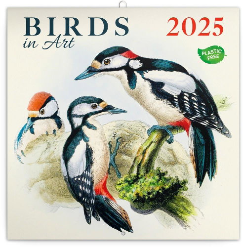 Notique Grid calendar Birds 2025, 30 × 30 cm - Wall Calendar - Main image