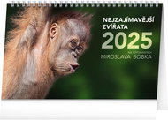 Notique Table calendar The most interesting animals 2025, 23,1 × 14,5 cm - Desk Calendar