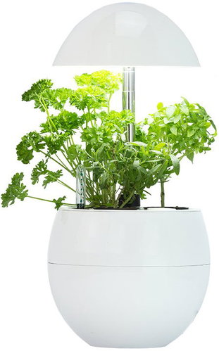 MiG 3 White - Flower Pot - Main image