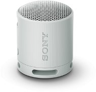 Sony SRS-XB100 šedá - Bluetooth Speaker