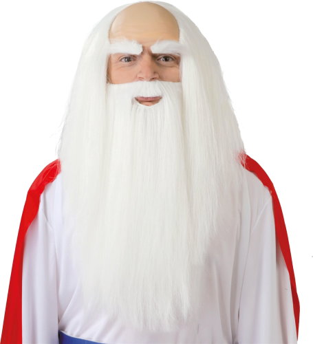 GUIRCA Bearded Druid Wig - Wig - Main image