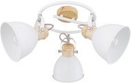 Globo - Spotlight, 3xE27/40W/230V - Ceiling Light