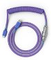 Glorious PC Gaming Race Coiled Cable Nebula, USB-C to USB-A  - 1,37m - Tastatur-Zubehör
