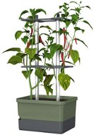 Gusta Garden CHARLY CHILY Standard samozavlažovací truhlík, tmavě zelený - Květináč