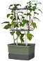 Gusta Garden CHARLY CHILY Štandard samozavlažovací kvetináč, tmavo zelený - Kvetináč