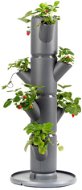Gusta Garden SISSI STRAWBERRY starter 4 szintes öntözőcserép, antracit - Virágcserép