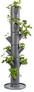 Gusta Garden SISSI STRAWBERRY classic samozavlažovací kvetináč 6 poschodí, antracit - Kvetináč