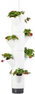Gusta Garden SISSI STRAWBERRY závesný samozavlažovací kvetináč 4 poschodia, biely - Kvetináč