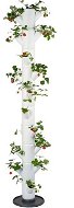 Gusta Garden SISSI STRAWBERRY Infinity 10 szintes önitató virágcserép, fehér - Virágcserép