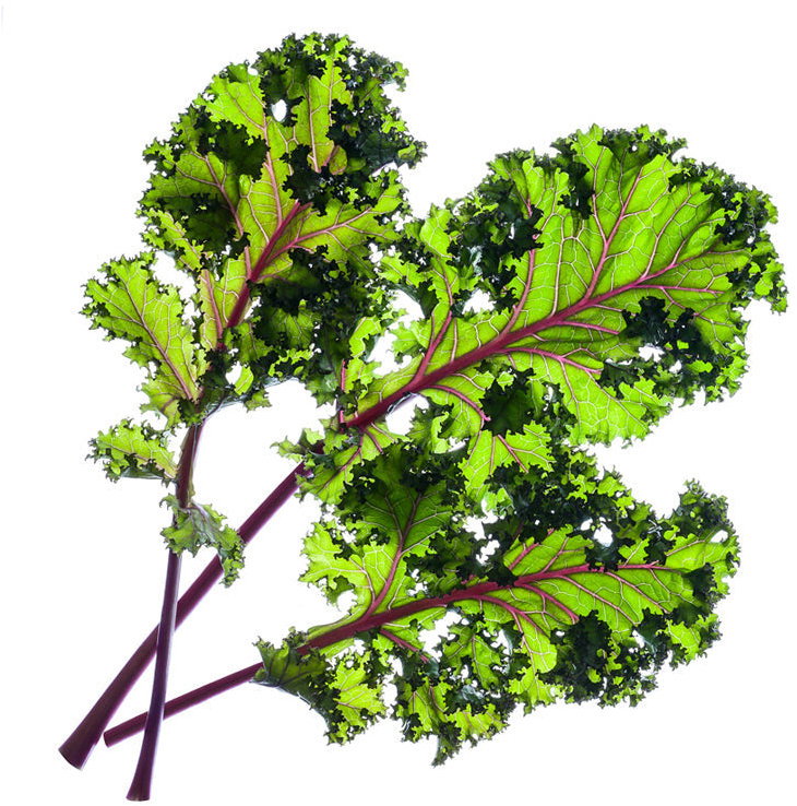 Click and Grow fodros kel
