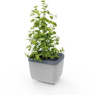 Gusta Garden HERBS BUDDY samozavlažovací, světle šedý - Truhlík