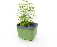 Gusta Garden HERBS BUDDY samozavlažovací, zelený - Truhlík